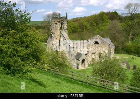 Wharram Percy, Yorkshire du Nord Banque D'Images