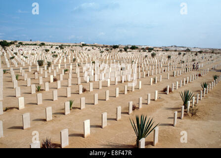 Cimetière de guerre des Alliés, El Alamein, en Égypte. Banque D'Images