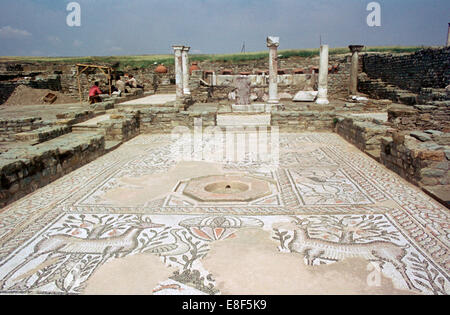 Mosaïque, ruines de la ville romaine de Stobi, Gradsko, Macédoine. Banque D'Images