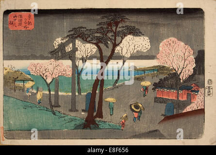 Cerisiers en pluie sur la berge de la rivière Sumida. (Zutsumi Sumida uchû no sakura). Artiste : Hiroshige Utagawa (1797-1858), Banque D'Images