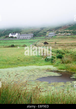 Bardsey Island : à la recherche d'un étang de ferme et terre sans banque de champs Cristin farmhouse et terrain, accueil de Bardsey Bird & Observatoire de terrain fondée en 1953. Banque D'Images