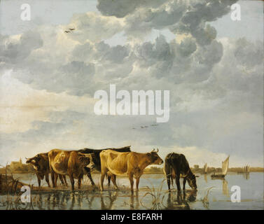 Vaches dans une rivière. Artiste : Aelbert Cuyp, (1620-1691) Banque D'Images