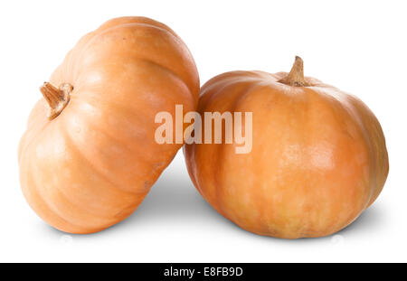 Mini Citrouilles Orange isolé sur fond blanc Banque D'Images