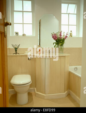 Salle de bains moderne toilettes à côté de bassin en coiffeuse avec timon en bois pâle gorge +terrasse Banque D'Images
