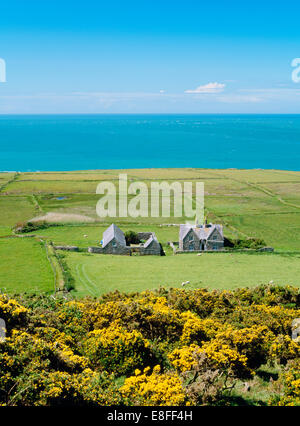 Carreg Fawr ferme, bestiaux & dépendances Mynydd Enlli : vu de l'une des fermes de 'modèle' construit sur l'île de Bardsey 1870-75 par Lord Newborough. Banque D'Images