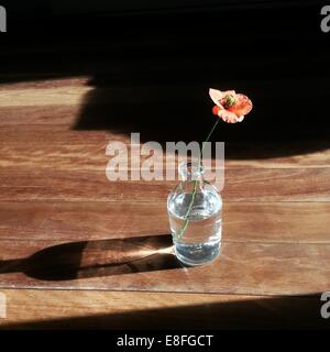 Fleur de pavot dans un vase sur la table en bois Banque D'Images