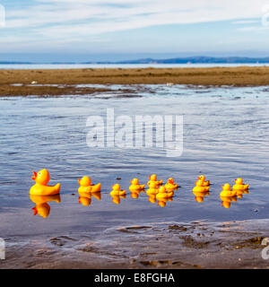 Canards jouets sur la plage dans une rangée Banque D'Images