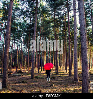 Femme debout dans la forêt avec parapluie Banque D'Images