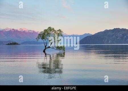 La Nouvelle-Zélande, Otago, vue sur le lac Wanaka Banque D'Images