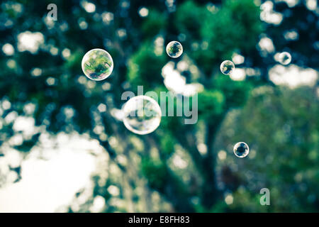 Des bulles de savon mi air flottante d'arbres en arrière-plan Banque D'Images