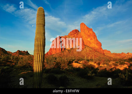 USA, Arizona, La Paz County Courthouse, Rock, matin Vue sur Courthouse Rock en Eagletail Wilderness Banque D'Images