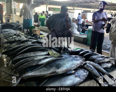 Oman, Muscat, l'Albacore à fish market Banque D'Images