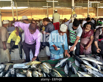 Oman, Muscat, donnant sur le marché aux poissons Banque D'Images