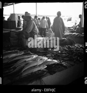 Oman, Muscat, donnant sur le marché aux poissons Banque D'Images