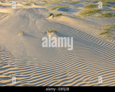 Rides de sable sur plage, Danemark Banque D'Images