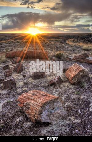 USA, Arizona, Petrified Forest National Park, Coucher de soleil en forêt pétrifiée Banque D'Images