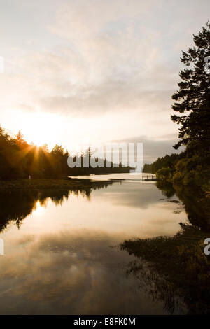 Le Canada, la Colombie-Britannique, l'île de Salt Spring, de marais d'eau salée Banque D'Images