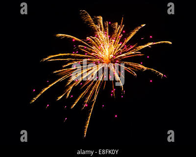 USA, Arizona, Apache, Alpine, feu d'artifice le jour de l'indépendance Banque D'Images