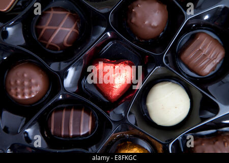 Vue rapprochée en hauteur d'une boîte de chocolats assortis Banque D'Images