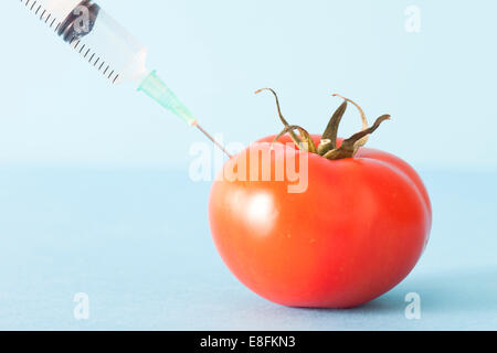 Gros plan d'une seringue injectant du liquide dans une tomate Banque D'Images