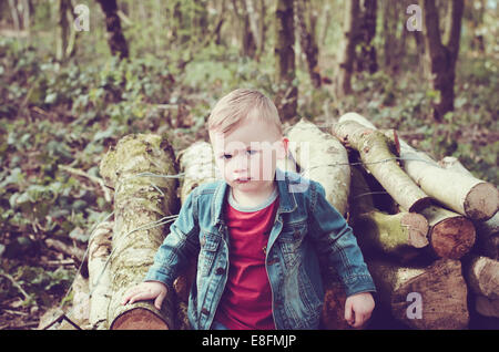 Portrait d'un garçon debout par une pile de grumes dans une forêt, Angleterre, Royaume-Uni Banque D'Images