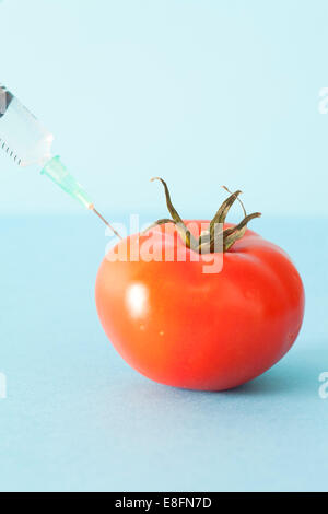 Gros plan d'une seringue injectant du liquide dans une tomate Banque D'Images