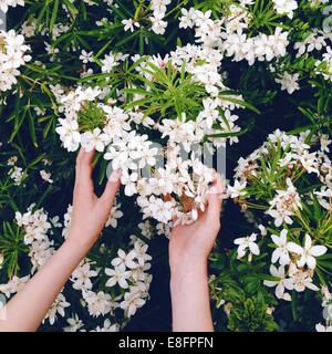 Girl's hand reaching for flowers Banque D'Images