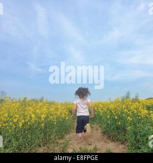 Vue arrière de fille courir à travers le champ de colza Banque D'Images