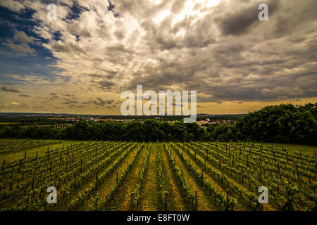 France, Paris, La défense derrière la vigne Banque D'Images