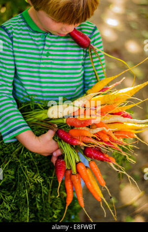 Garçon tenant un bouquet de carottes multicolores fraîches Banque D'Images