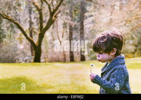 Garçon debout dans un parc soufflant pissenlit, États-Unis Banque D'Images