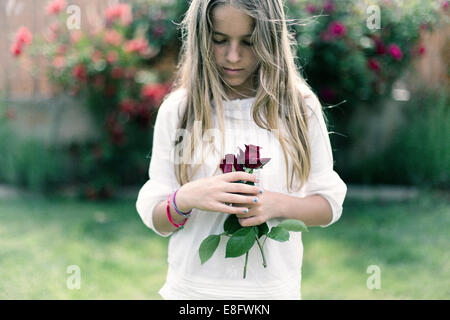 View of girl holding red roses Banque D'Images