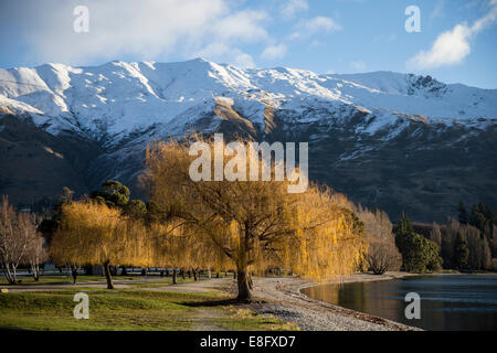 La NOUVELLE ZELANDE, le paysage avec des montagnes aux sommets enneigés Banque D'Images
