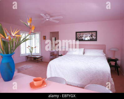 Vase de oiseaux de paradis des fleurs sur une table dans une chambre de style années 30 rose Banque D'Images