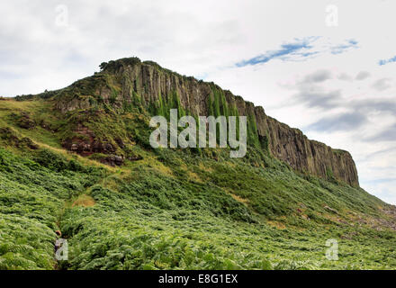 Drumadoon Drumadoon à bas point, une falaise formée par une montée de magma aussi connu sous le nom de "Doon', sur l'île d'Arran Banque D'Images