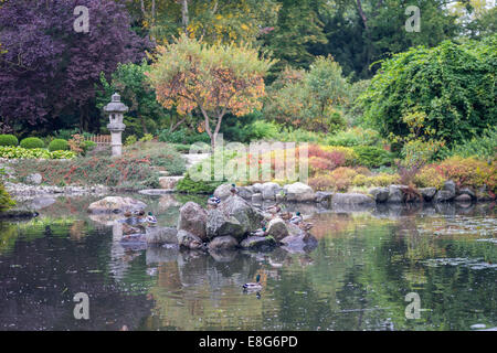 Jardin japonais en automne Wroclaw Banque D'Images