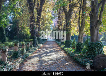 Jardins botaniques de Wroclaw dans autumn Banque D'Images