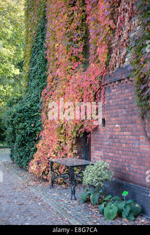 Jardins botaniques de Wroclaw dans autumn Banque D'Images