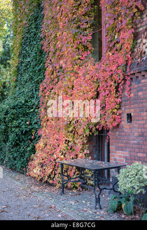 Jardins botaniques de Wroclaw dans autumn Banque D'Images