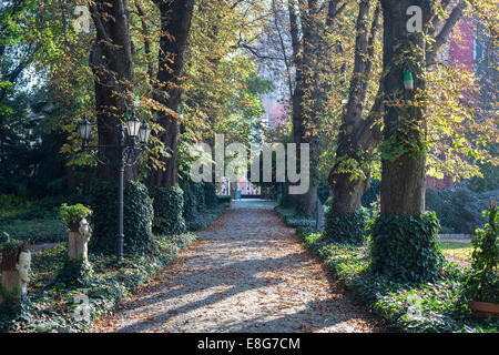 Jardins botaniques de Wroclaw dans autumn Banque D'Images