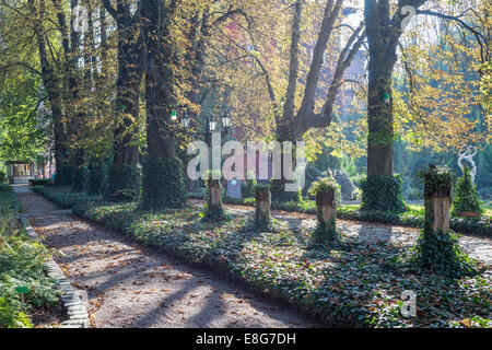 Jardins botaniques de Wroclaw dans autumn Banque D'Images