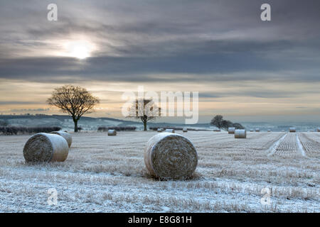 Les bottes de foin sur le bord de l'English Channel, au milieu de l'hiver au crépuscule. Banque D'Images