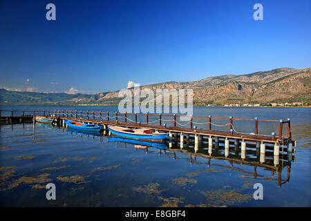 Les bateaux de pêche traditionnels (appelés "gaitas" par les locaux) à un petit port de pêche de Aitoliko ville Rethymnon, Grèce. Banque D'Images