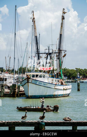 Fort ft. Myers Beach Florida,Matanzas Pass,bateaux,chalutier commercial de crevettes,bateau,pélicans,pélican,adultes homme hommes,pêche,visiteurs voyage tra Banque D'Images