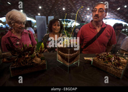 Escobar, l'Argentine. Oct 7, 2014. Les visiteurs regarder les plantes carnivores s'affichent pendant la 51e Fête de la fleur nationale, tenue à Escobar, ville à 40 km de Buenos Aires, en Argentine, le 7 octobre 2014. Pendant le spectacle, les producteurs de chacune des provinces du pays participent à la présentation avec une variété de fleurs et plantes de différents types et espèces. © Martin Zabala/Xinhua/Alamy Live News Banque D'Images