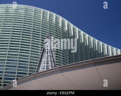 La National Art Center, Tokyo, Roppongi, par Kisho Kurokawa Banque D'Images