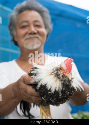 Iha-san avec son chan チャーン les poulets qui sont indigènes à Okinawa. Uruma City, Okinawa. Le Japon Banque D'Images