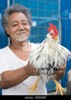 Iha-san avec son chan チャーン les poulets qui sont indigènes à Okinawa. Uruma City, Okinawa. Le Japon Banque D'Images