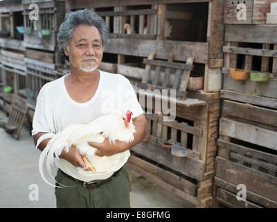 Iha-san avec son chan チャーン les poulets qui sont indigènes à Okinawa. Uruma City, Okinawa. Le Japon Banque D'Images