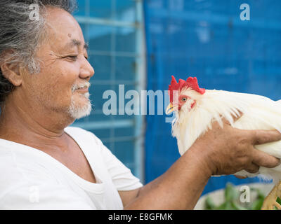 Iha-san avec son chan チャーン les poulets qui sont indigènes à Okinawa. Uruma City, Okinawa. Le Japon Banque D'Images